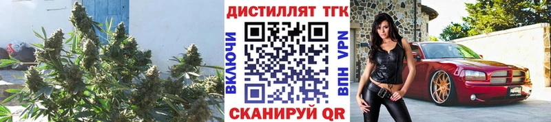 Дистиллят ТГК гашишное масло  наркошоп  Куровское 