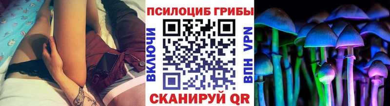 Псилоцибиновые грибы Psilocybine cubensis  ОМГ ОМГ зеркало  Куровское  продажа наркотиков 